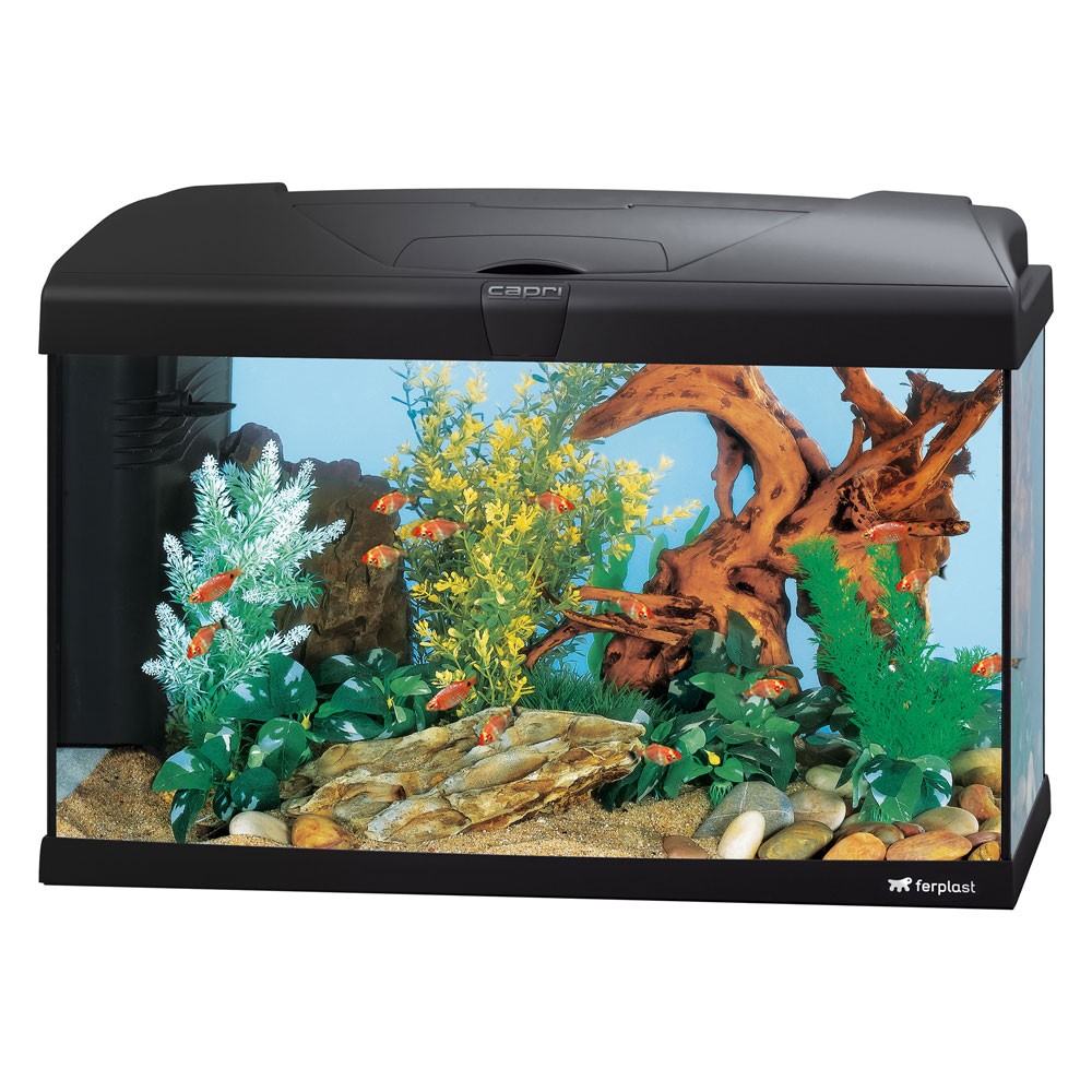 Ferplast Ενυδρείο Capri 60 Black Led Διαστάσεις: 60 x 31,5 x h 39,5 cm – 60L			